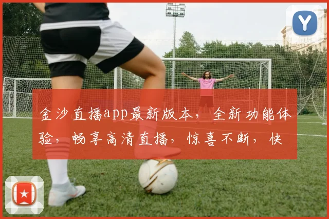 金沙直播app最新版本，全新功能体验，畅享高清直播，惊喜不断，快来更新
