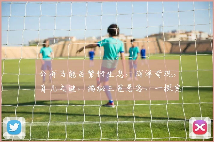 公海马能否繁衍生息，海洋奇观，育儿之谜，揭秘三重悬念，一探究竟